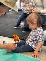 Animation Educazoo - rencontre avec des animaux