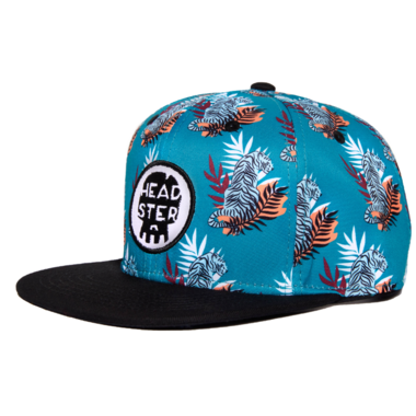 Casquette snapback - Eye of the tiger, Headster